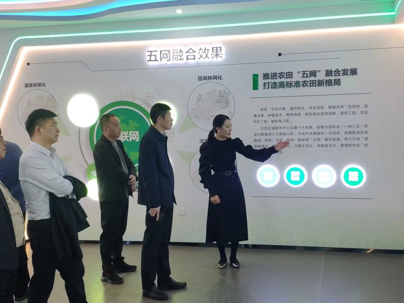 考察數字化模式